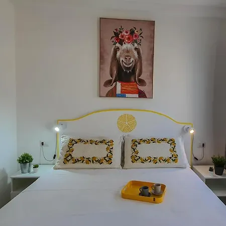 Biddanoa Bed & Breakfast